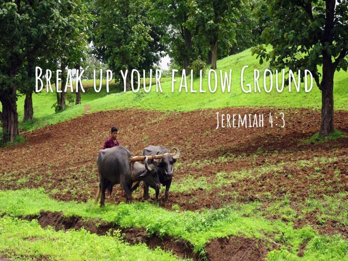 Spiritual Callouses & Fallow Ground: “When the Ground is Hard”