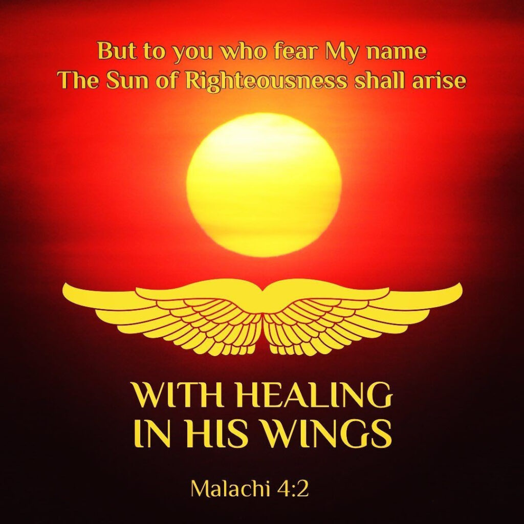 a34c4e2a-ca43-479e-88cd-f5b265a0ac9a