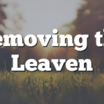 Welcome to Passover/Pesach 5786 (2026) Beholding the Beauty of His Holiness!