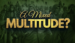 blog-a-mixed-multitude