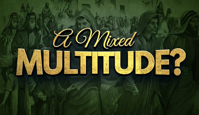 blog-a-mixed-multitude