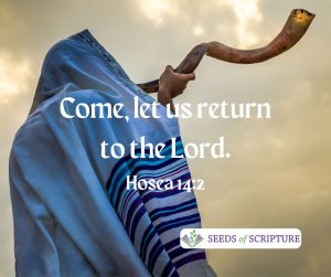 Return-to-the-Lord-300x251