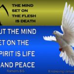 Snippet on ‘Maintaing the Spirit & Mind of Life’ in a culture of death